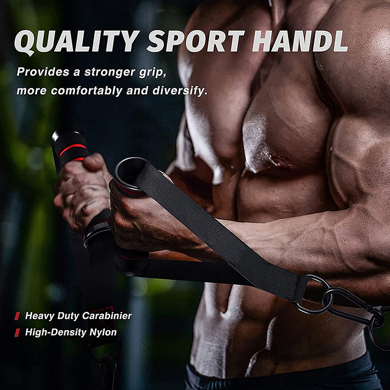 Heavy Duty Cable Machine Handl - Gymnastic Ring review and price